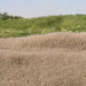 Alternative view of 2mm Static Grass – Straw