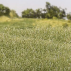 Alternative view of 4mm Static Grass – Light Green