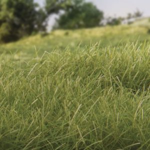 Alternative view of 12mm Static Grass – Medium Green